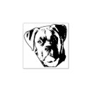 Search for boxer rubber stamps Cute