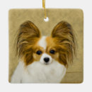 Search for papillon dog christmas tree decorations Butterfly