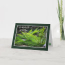 Search for tree of life sympathy cards Nature