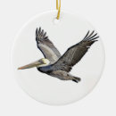 Search for clear christmas tree decorations Ocean