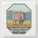 Search for bisons coasters Yellowstone national park