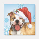Search for pit bull magnets Apbt