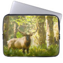 Search for steve electronics Wildlife