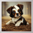 Search for little brown posters Cute