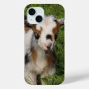 Search for dairy iphone cases Milk
