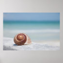 Search for st petersburg florida posters Beach