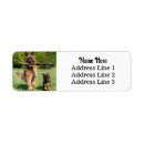 Search for german shepherds return address labels Puppies