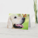 Search for labrador invitations Golden retriever