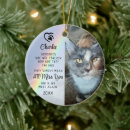 Search for quotes pet memorials Cats