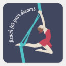 Search for silks stickers Acrobat