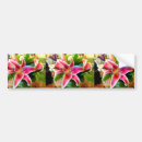Search for lily bumper stickers Floral