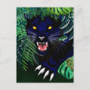 Search for black panther postcards Jungle
