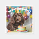 Search for cockapoo home living Funny