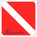 Search for scuba diver stickers White