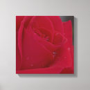 Search for dew canvas prints Red