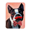 Search for bowtie magnets Boston terrier