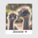 Search for australian outback stickers Animal