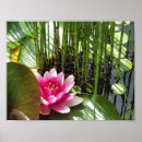 Search for light water posters Zen