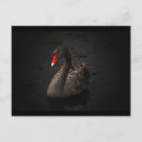 Search for swimming postcards Bird