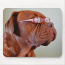 Search for eyeglasses mouse mats Dog