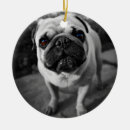 Search for pug decor Pets