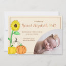 Search for pumpkin birth announcement cards Fall