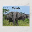 Search for rwanda postcards Africa