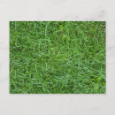 Search for mowing invitations Grass