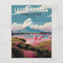 Search for wild pinks postcards Pink flamingo