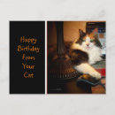 Search for birhtday cards Cat