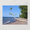 Search for lonely tree postcards Travel