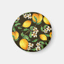 Search for lemon tree magnets Food