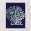 Search for indigo postcards Seashells