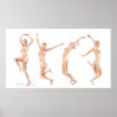 Search for female anatomy posters Bones