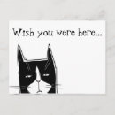 Search for sarcastic postcards Cool