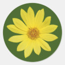 Search for isolation stickers Flower