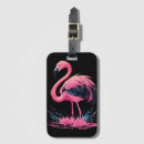 Search for cool birds accessories Colourful