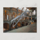 Search for dinosaur skeleton postcards History