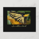 Search for macro horizontal postcards Wildlife