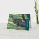 Search for wildlife get well cards Deer