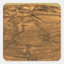 Search for rover stickers Examining