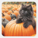 Search for black kittens stickers Halloween