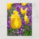 Search for vivid vertical postcards Yellow