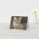 Search for wildcat cards Feline