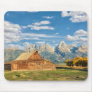 Search for log mouse mats Nature