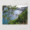 Search for road to hana Beach