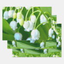 Search for lily of the valley wrapping paper Nature