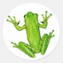 Search for rainforest frog stickers Tropical