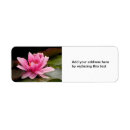 Search for lillies return address labels Red