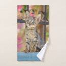 Search for kitten bath towels Tabby